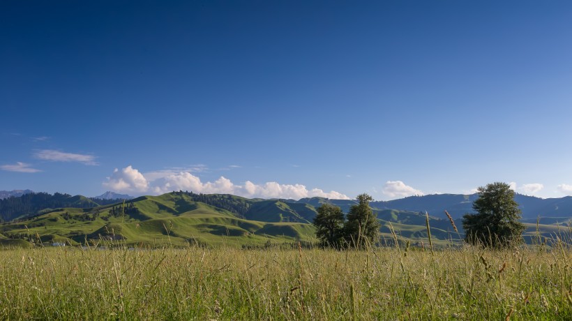 点击大图看下一张：新疆那拉提草原风景图片