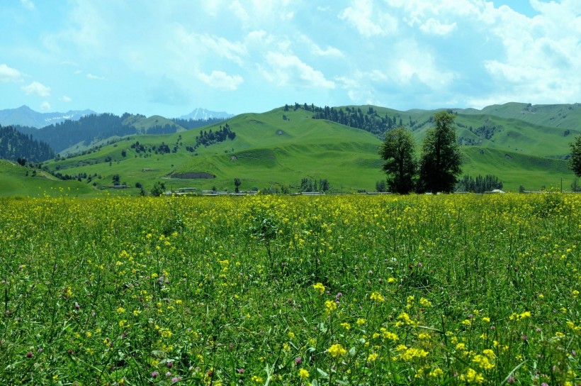 点击大图看下一张：新疆那拉提草原图片