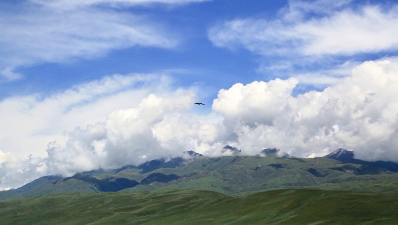 点击大图看下一张：新疆那拉提草原风景图片 