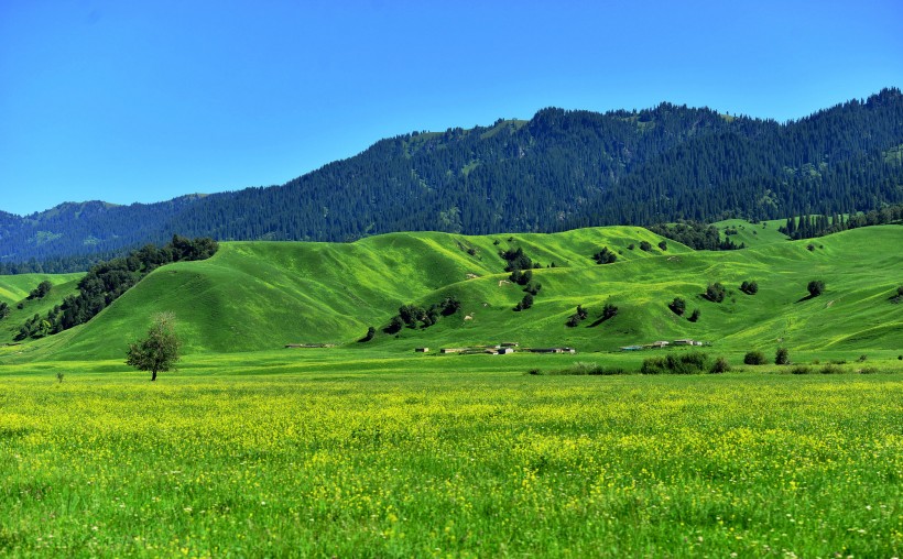 点击大图看下一张：新疆那拉提草原风景图片