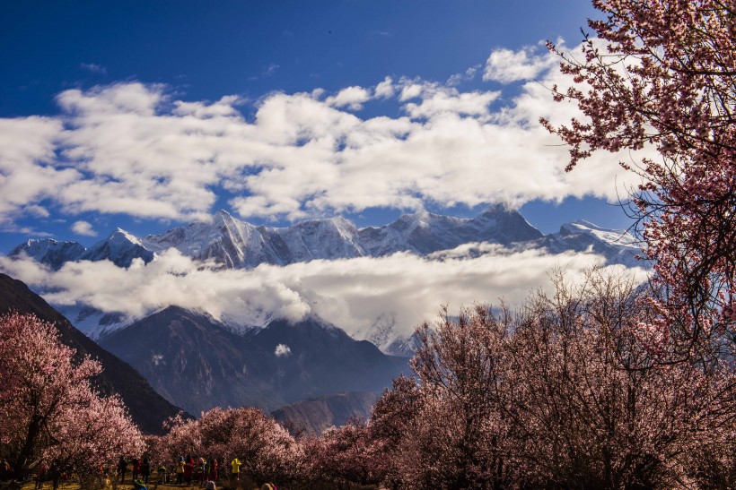 点击大图看下一张：西藏南迦巴瓦峰风景图片