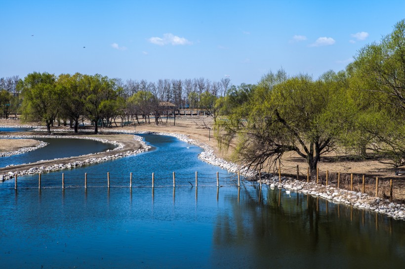 点击大图看下一张：北京南海子公园风景图片