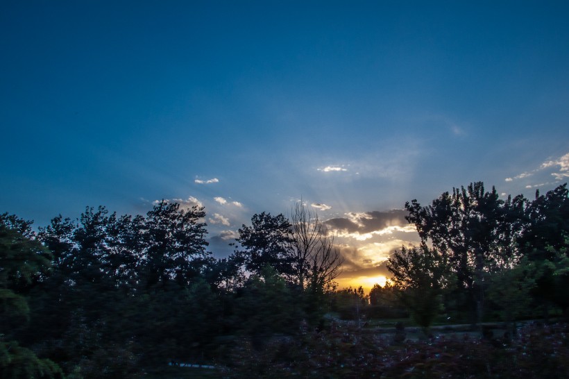 点击大图看下一张:北京南海子公园风景图片