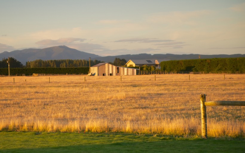 点击大图看下一张：新西兰田园风光图片