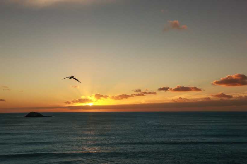 点击大图看下一张：新西兰鸟岛风景图片