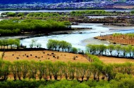 西藏尼洋河风景图片_10张