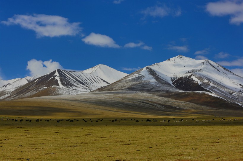 点击大图看下一张：西藏念青唐古拉山风景图片