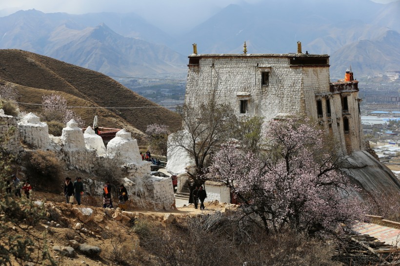 点击大图看下一张：西藏帕崩岗风景图片