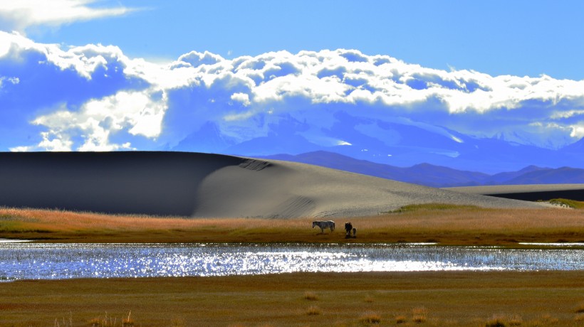 点击大图看下一张：西藏帕羊风景图片