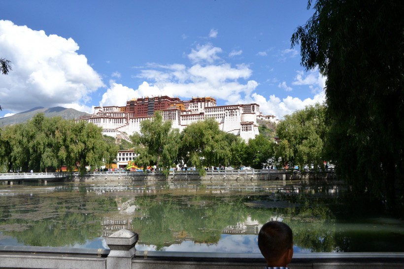 点击大图看下一张：西藏布达拉宫风景图片