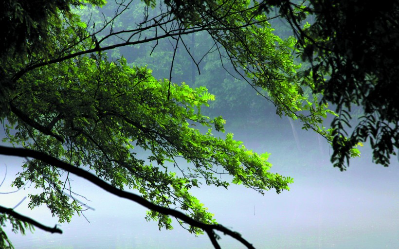 点击大图看下一张：蒲江风景图片