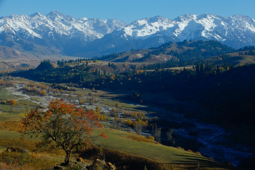 点击大图看下一张：新疆伊犁恰西风景图片