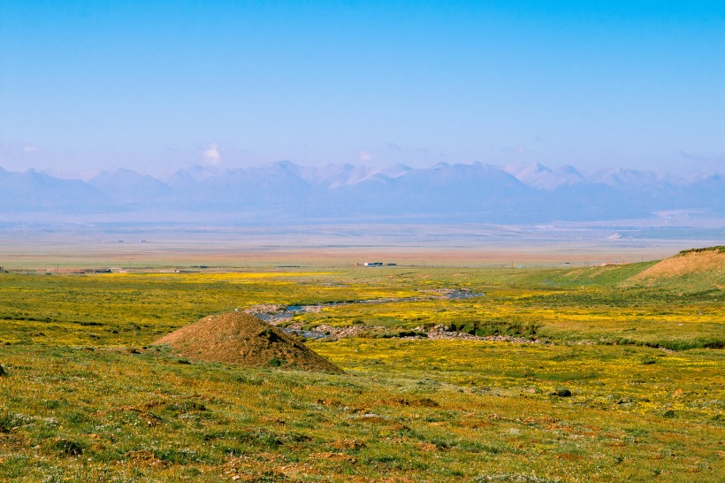 点击大图看下一张：青海祁连山草原风景图片