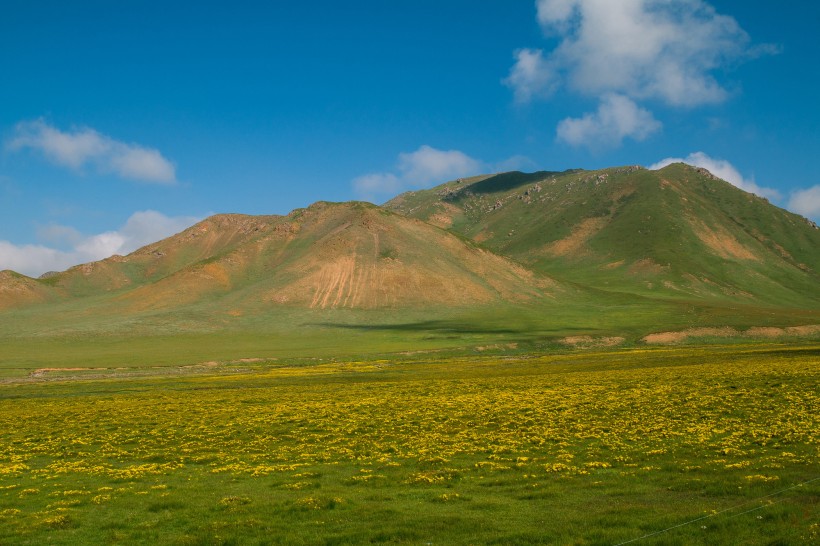 点击大图看下一张：青海祁连山草原风景图片
