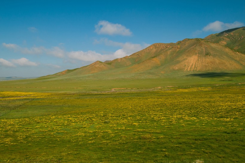 点击大图看下一张：青海祁连山草原风景图片