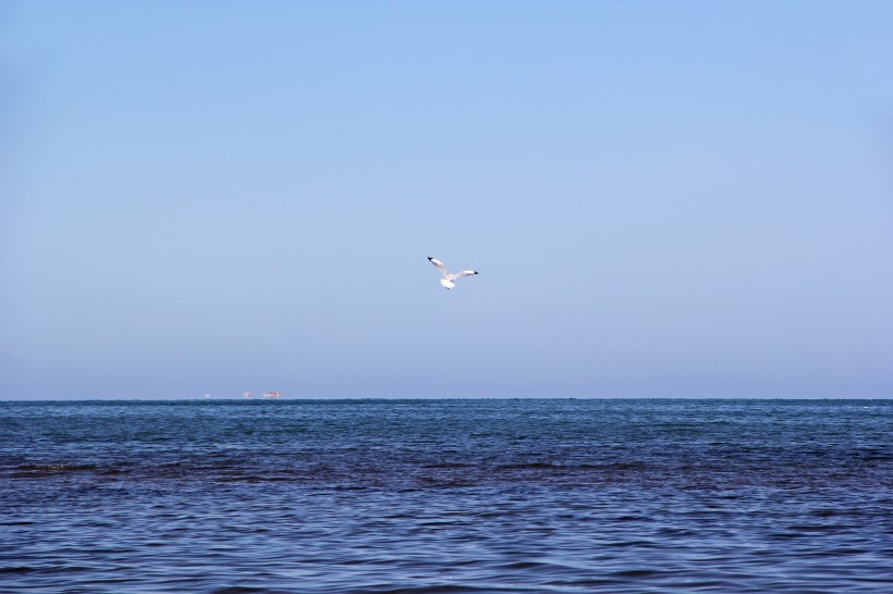 点击大图看下一张：淡雅娴静的青海湖图片