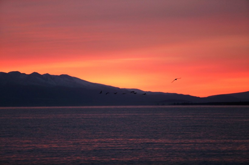 点击大图看下一张：青海湖日出风景图片