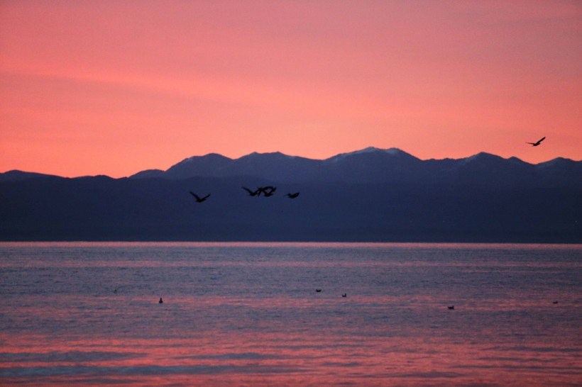 点击大图看下一张：青海湖日出风景图片