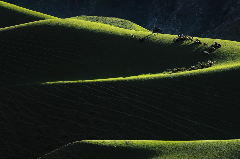 点击大图看下一张：新疆琼库什台草原风景图片