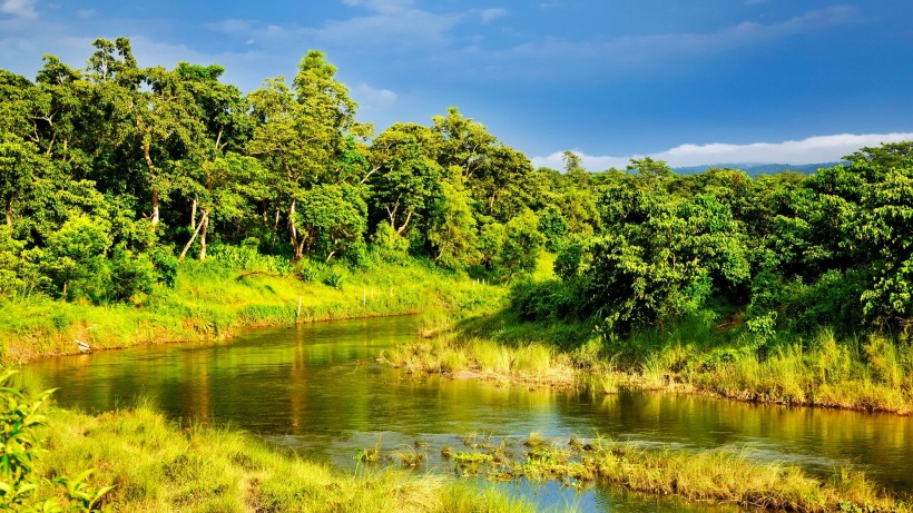 点击大图看下一张：尼泊尔奇特旺皇家公园风景图片