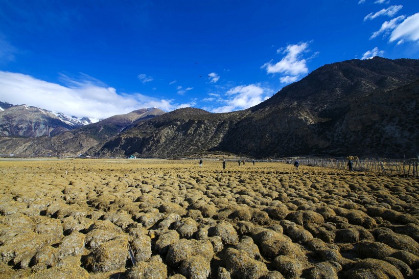 点击大图看下一张：西藏昌都然乌湖风景图片