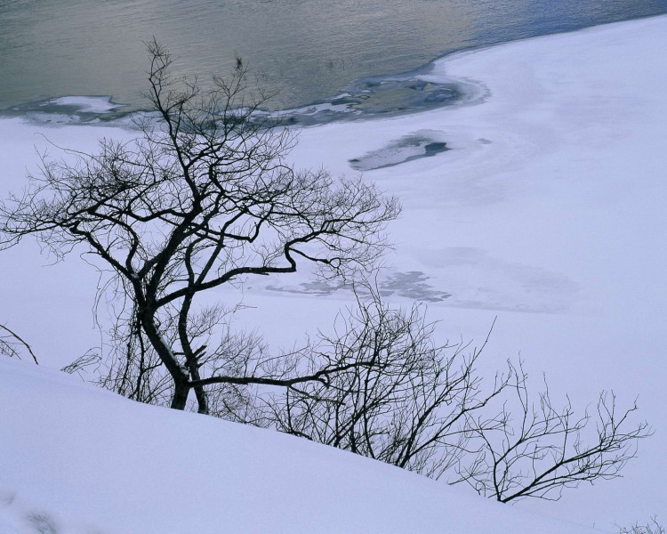点击大图看下一张：日本冬景图片