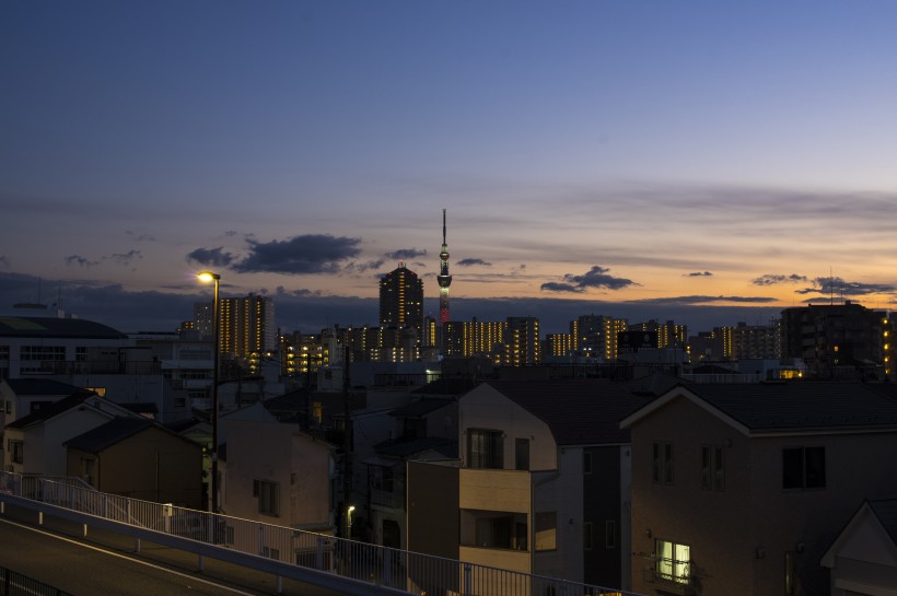 点击大图看下一张：日本东京晴空塔的图片