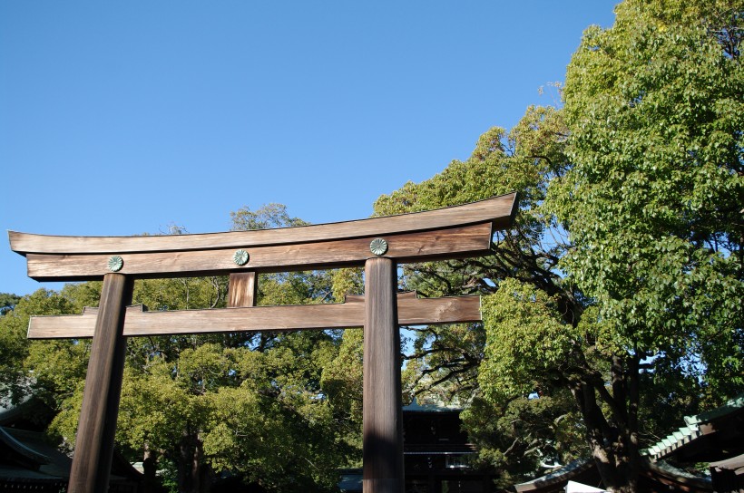 点击大图看下一张：日本明治神宫的图片