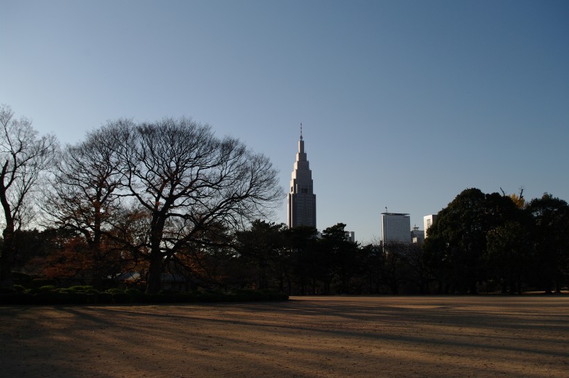 点击大图看下一张：日本新宿御苑的图片