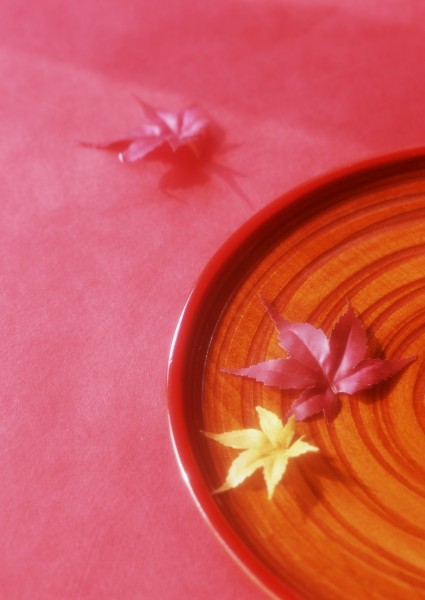 点击大图看下一张：日式惬意风情静物图片