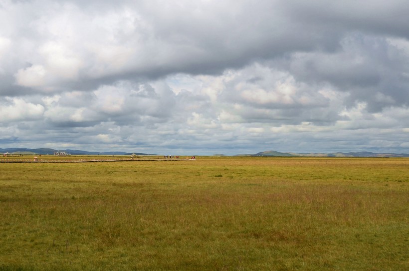 点击大图看下一张：四川若尔盖草原风景图片