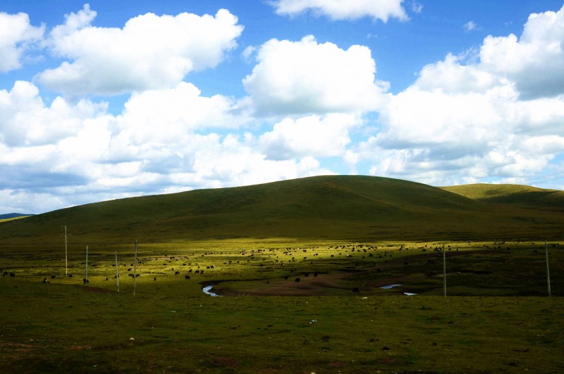 点击大图看下一张：四川若尔盖草原风景图片
