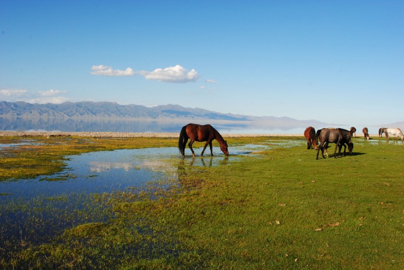 点击大图看下一张：新疆赛里木湖图片