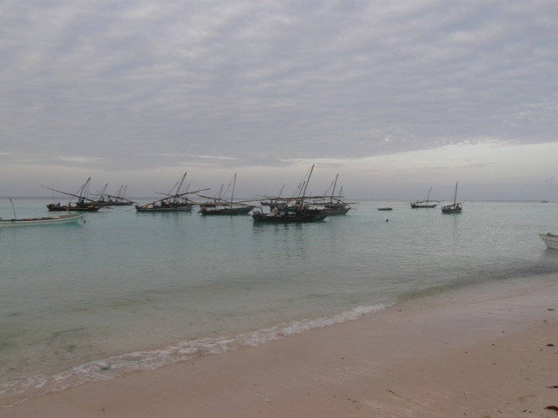 点击大图看下一张：烟台桑岛海豚湾的早晨风光图片