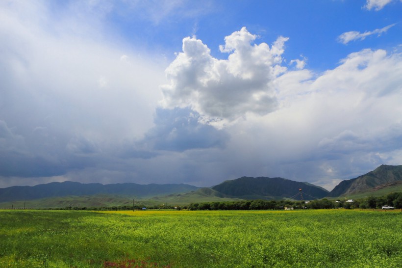 点击大图看下一张：甘肃桑科草原风景图片