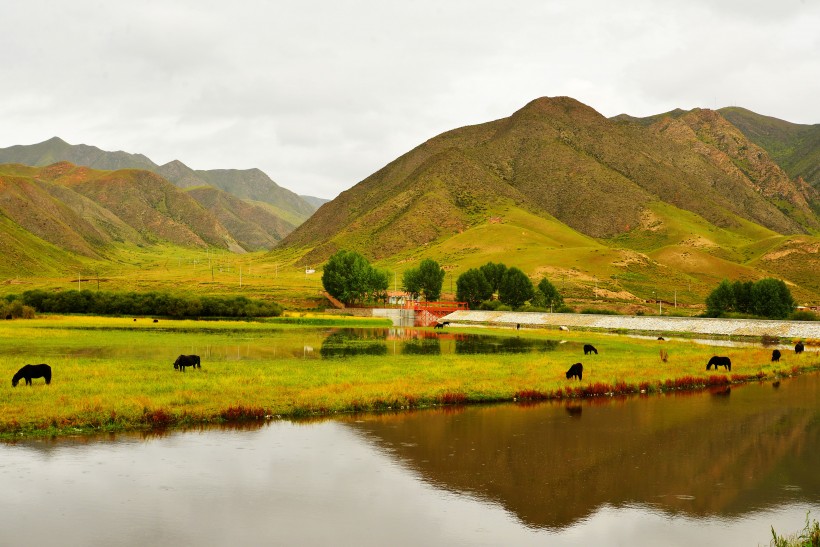 点击大图看下一张：甘肃甘南桑科草原风景图片