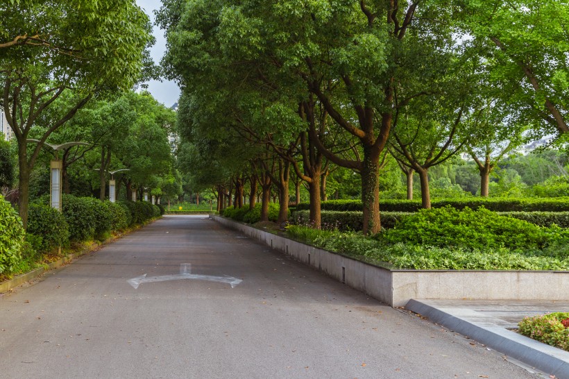点击大图看下一张：上海视觉艺术学院校园风景图片