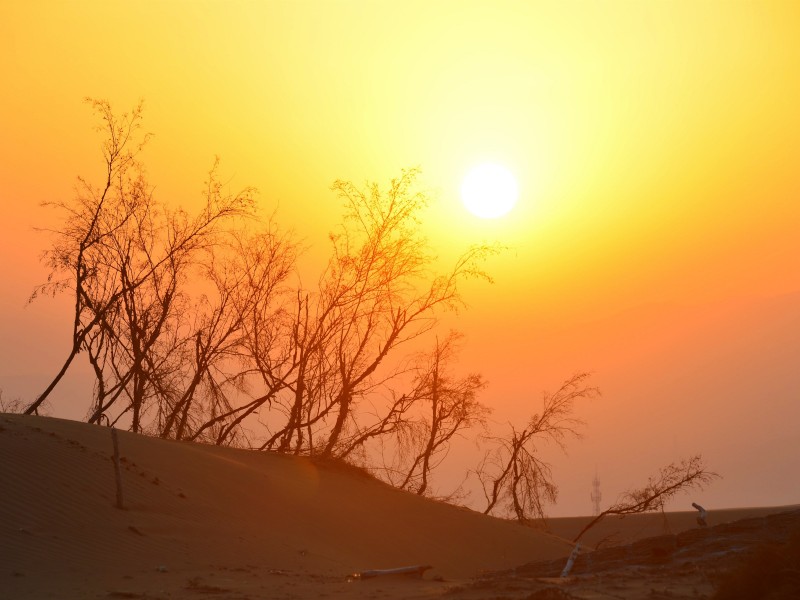 点击大图看下一张：宁夏沙坡头冬季日出风景图片