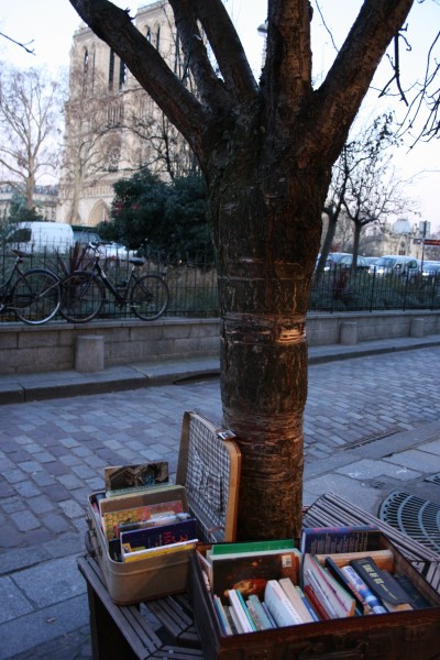 点击大图看下一张：法国巴黎莎士比亚书店图片