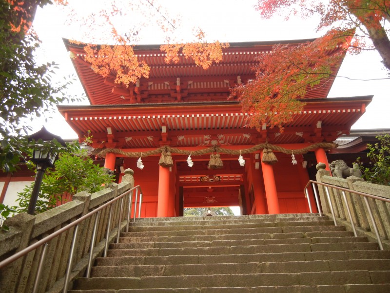 点击大图看下一张：日本神社图片