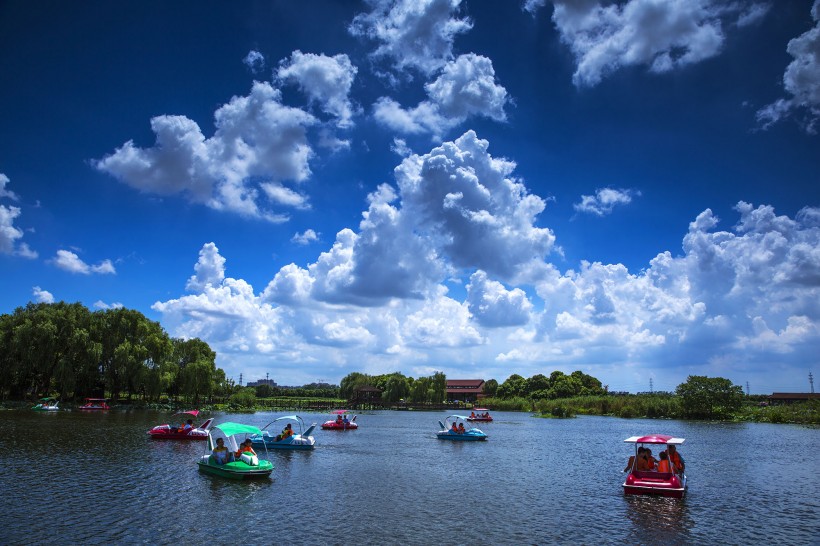 点击大图看下一张：山东胶州湿地公园风景图片