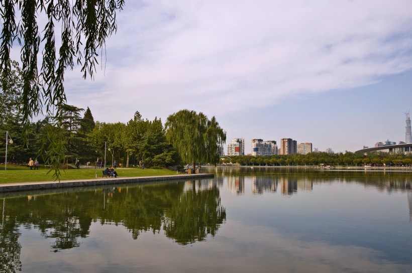 点击大图看下一张：上海世纪公园风景图片