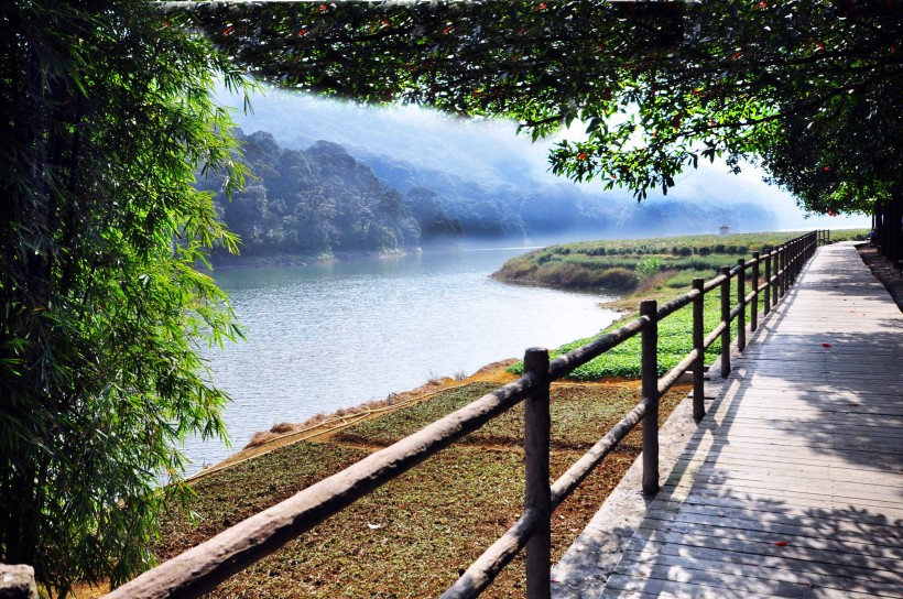 点击大图看下一张：广东从化石门国家森林公园风景图片