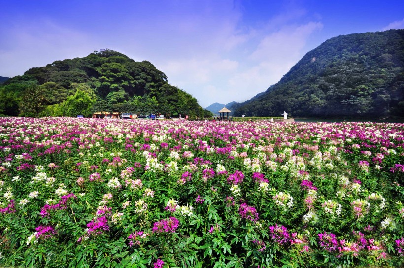 点击大图看下一张：广东从化石门国家森林公园风景图片