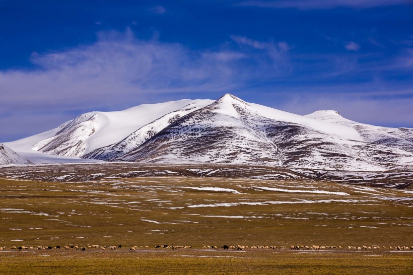 点击大图看下一张：西藏双湖县风景图片