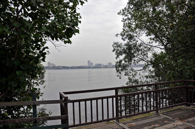 点击大图看下一张：新加坡双溪布洛自然公园风景图片