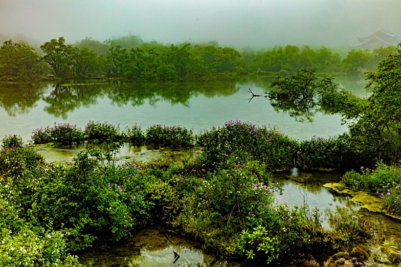 点击大图看下一张：四川黄龙迎宾池风景图片