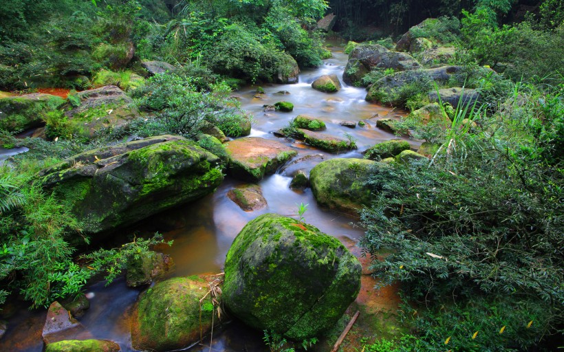 点击大图看下一张：贵州赤水四洞沟风景图片