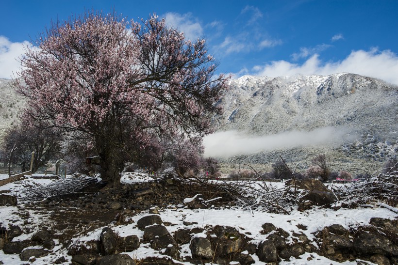 点击大图看下一张：雪后的索松村风景图片