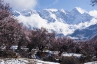 雪后的索松村风景图片_17张